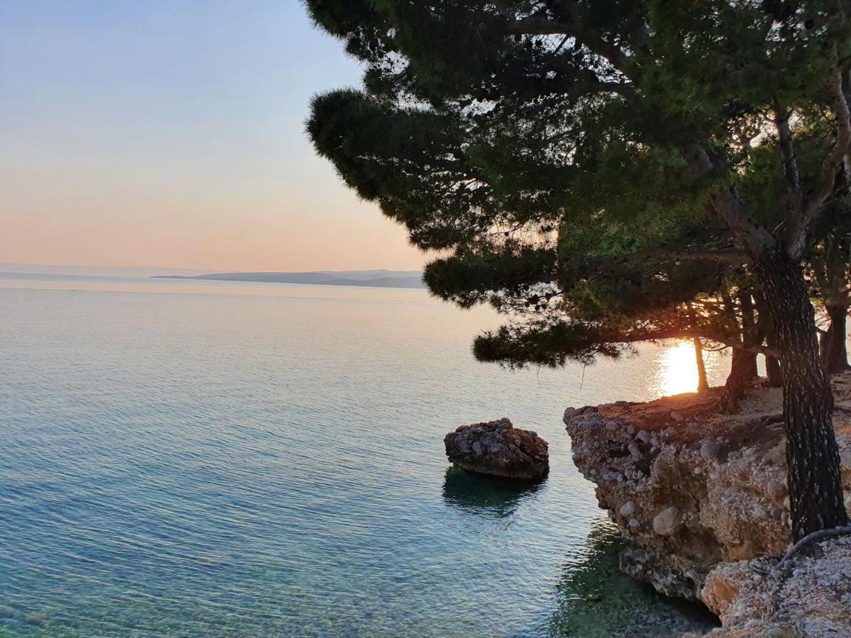 Villa La Vita Baška Voda Εξωτερικό φωτογραφία